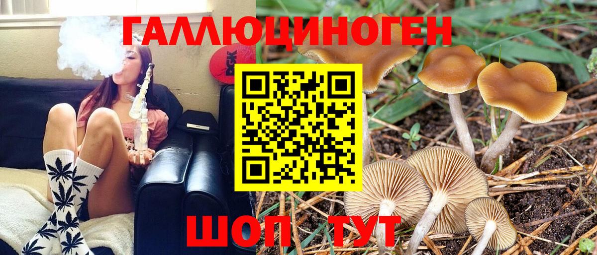 Псилоцибиновые грибы Magic Shrooms  Вход с VPN  Губаха  Галлюциногенные грибы MAGIC MUSHROOMS 